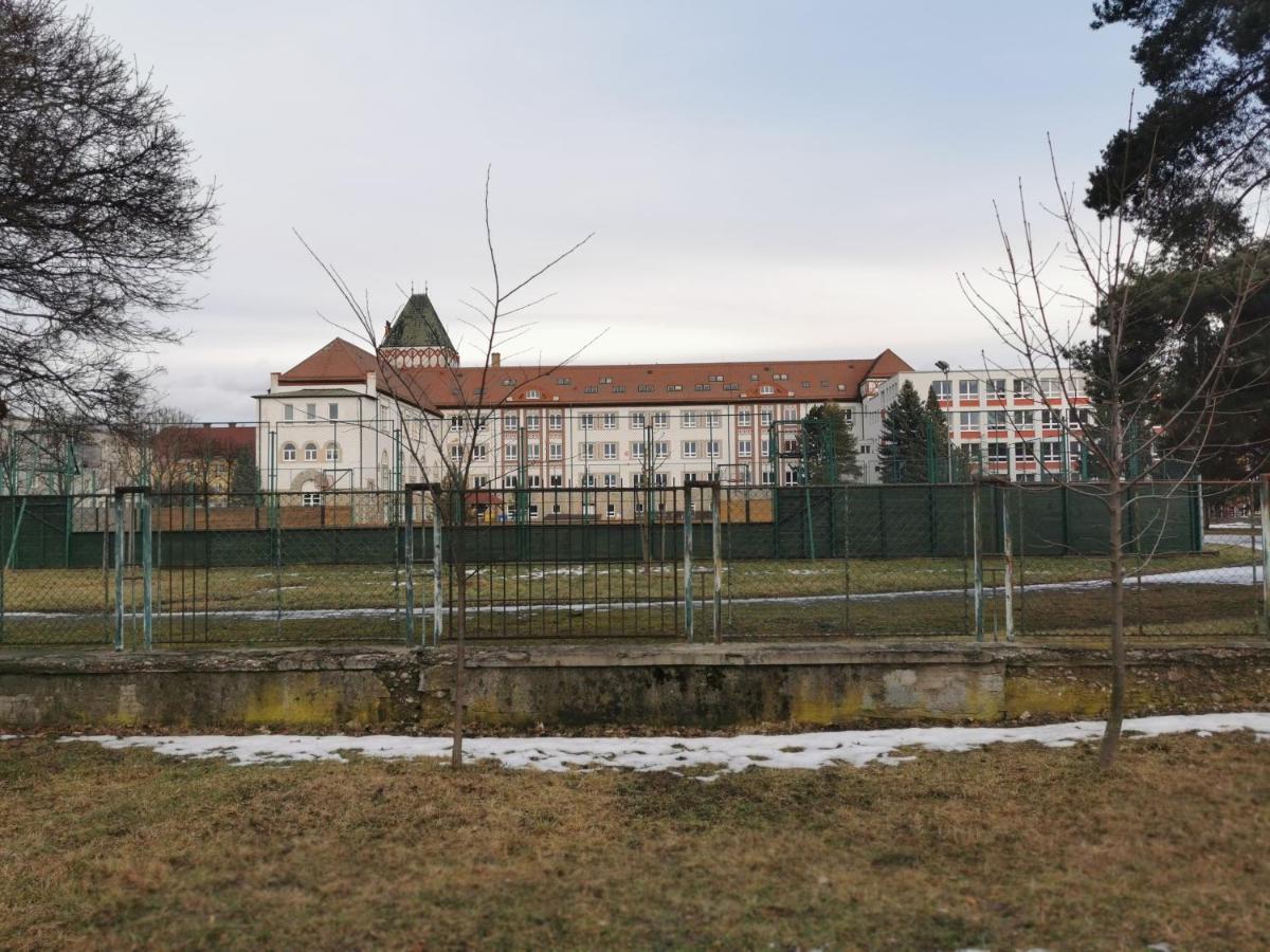 Ferienwohnung Flat In The Heart Of Liptovský Mikuláš Exterior foto